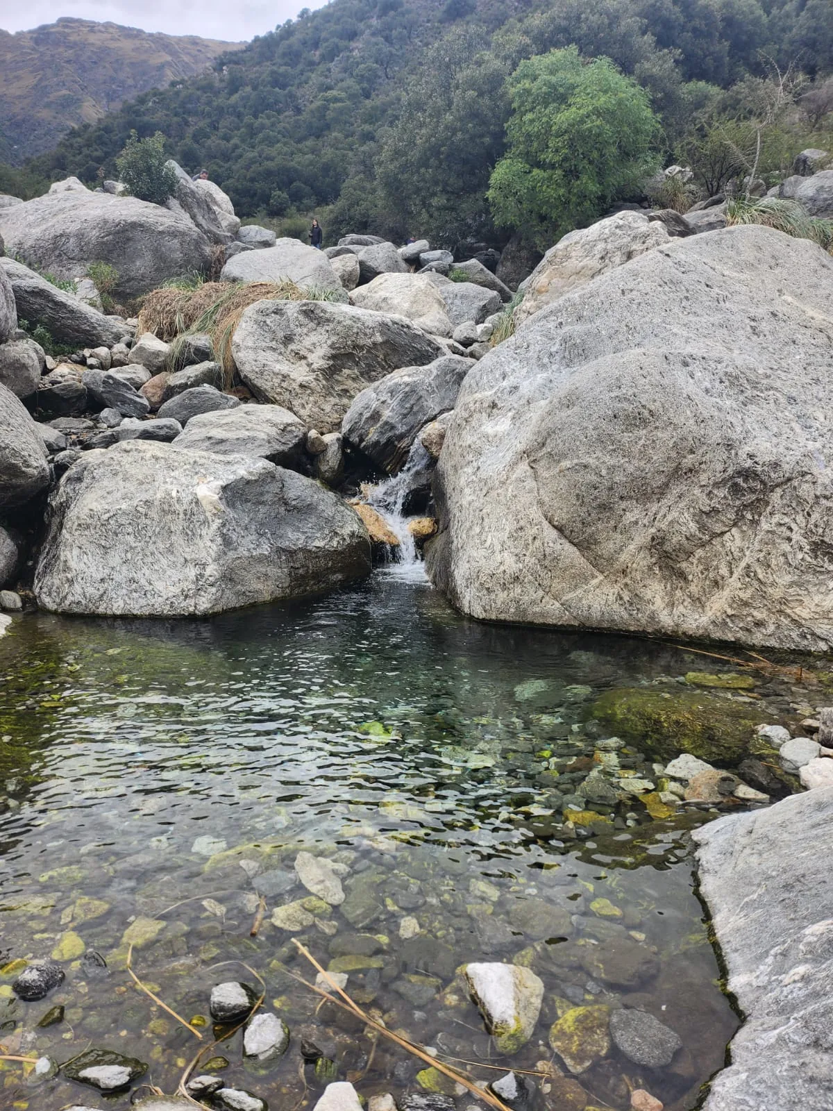 Arroyo de agua clara entre piedras de la sierra