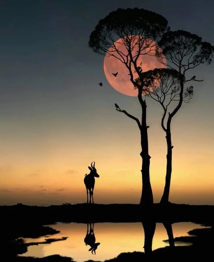 Antílope y árboles recortados contra una luna roja, reflejados en el agua
