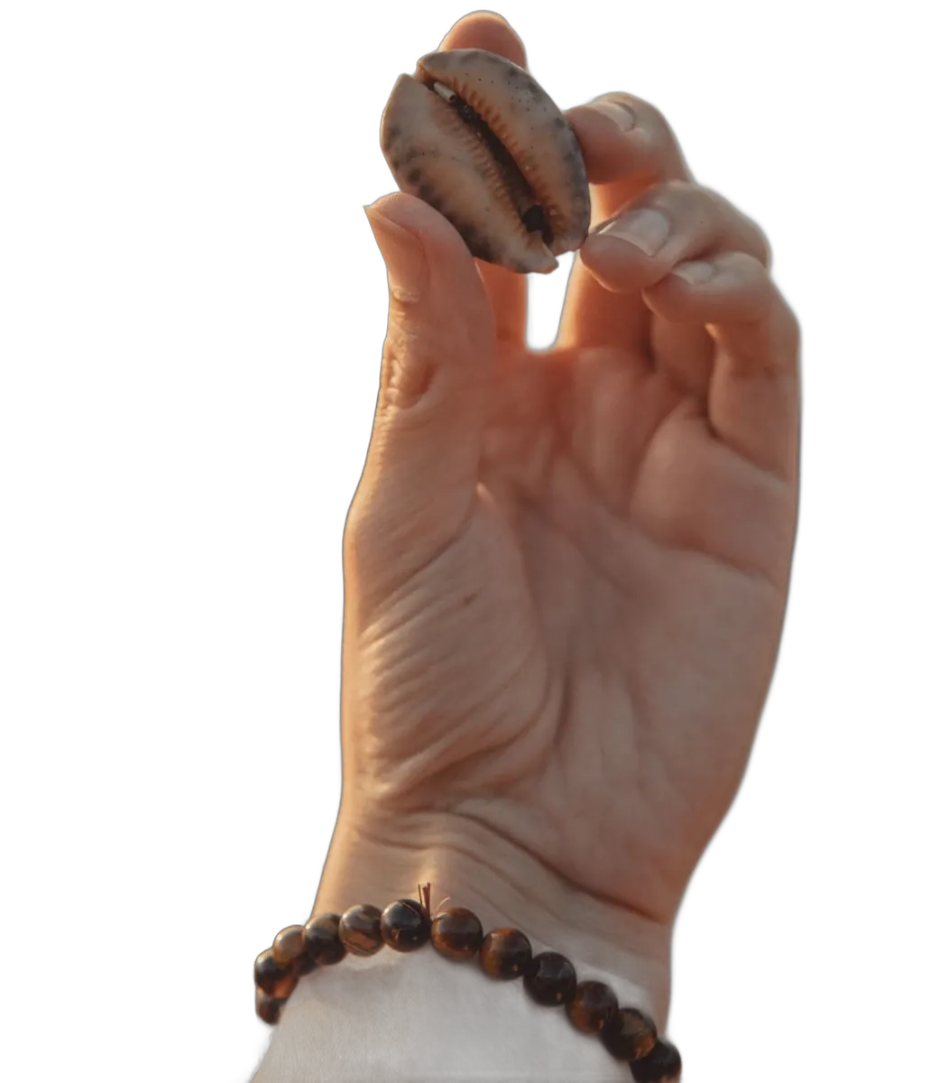Mano sosteniendo un caurí sobre el tablero